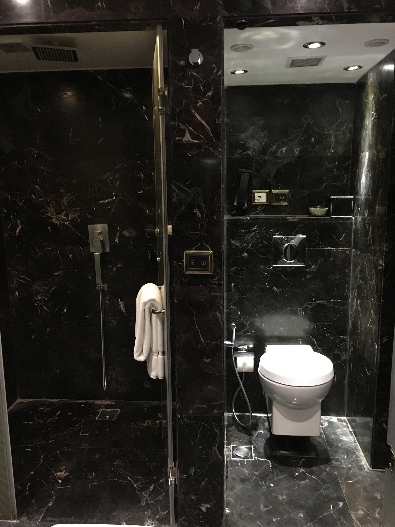 卢迪亚纳丽笙酒店 外观 照片