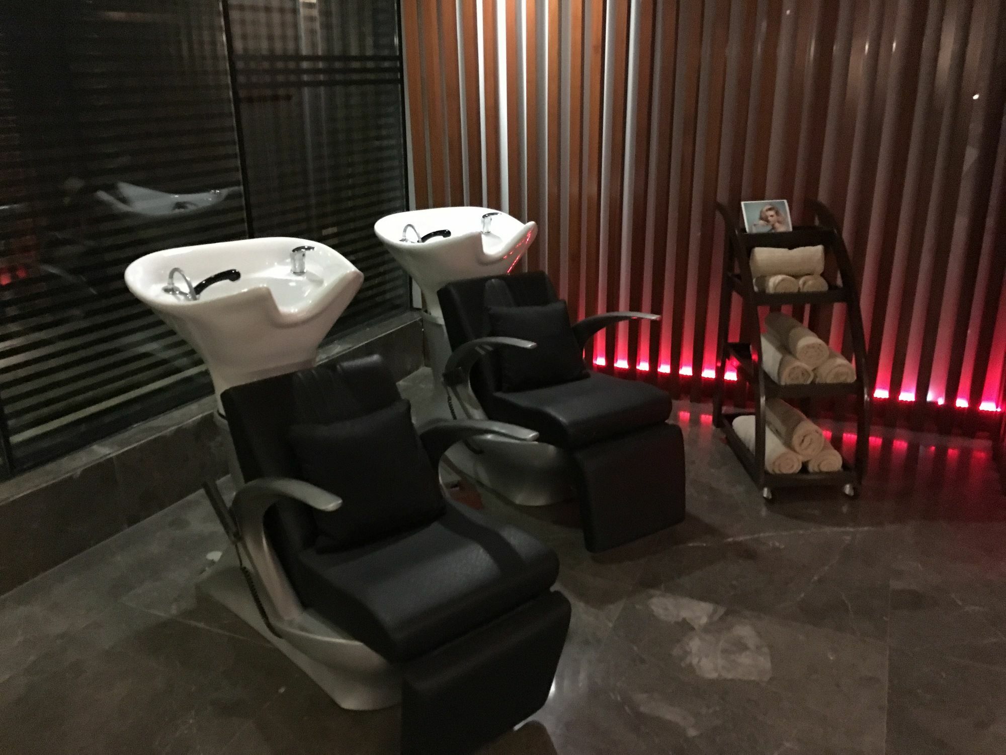 卢迪亚纳丽笙酒店 外观 照片