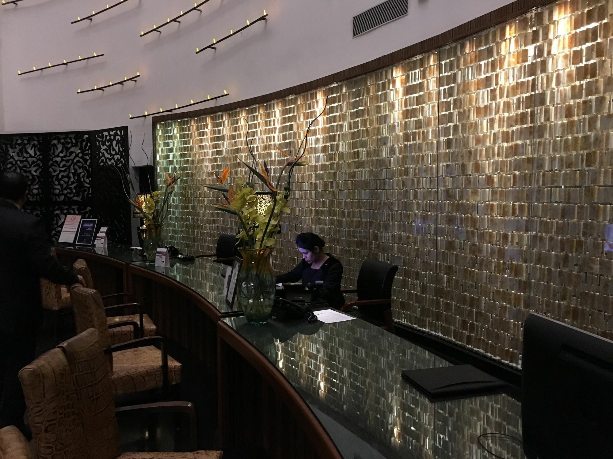 卢迪亚纳丽笙酒店 外观 照片